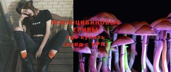 винт Наволоки