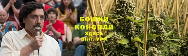 соль ск Нея