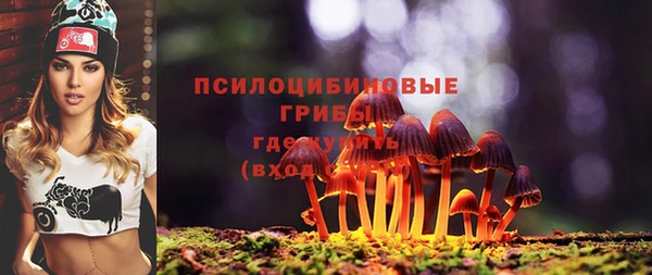 винт Наволоки