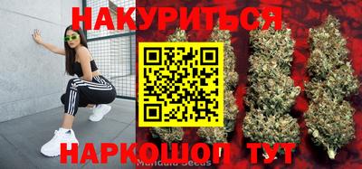 крисы Гагарин