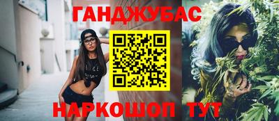 крисы Гагарин