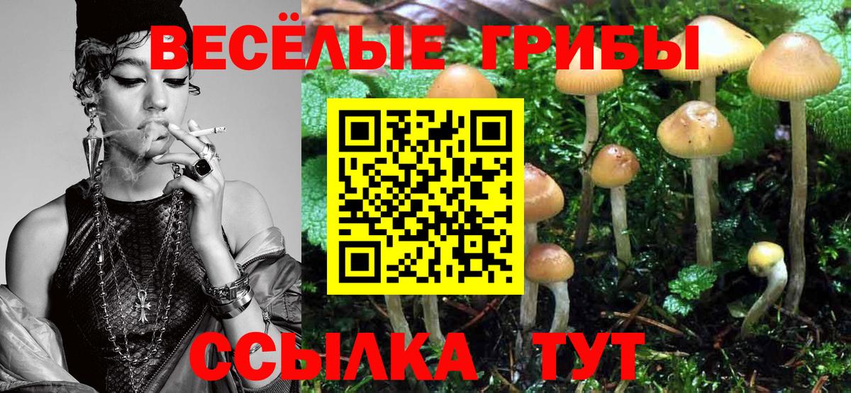 Псилоцибиновые грибы MAGIC MUSHROOMS Полевской