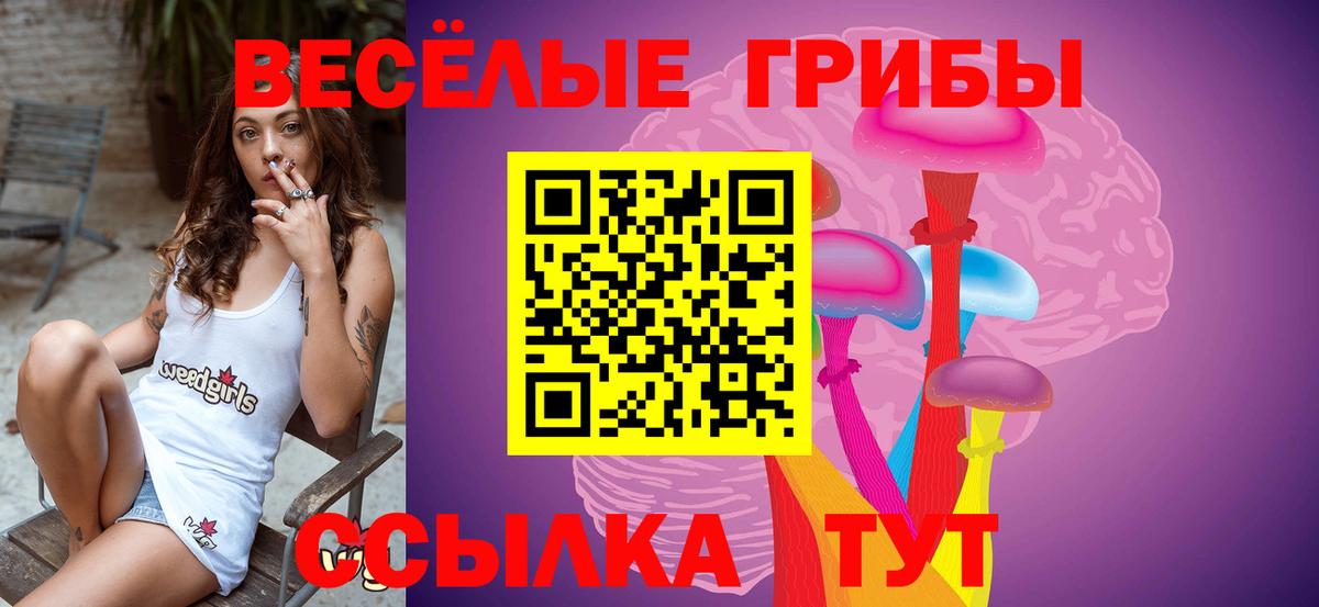 Галлюциногенные грибы мицелий  Псилоцибиновые грибы прущие грибы  Вход с VPN  Полевской 